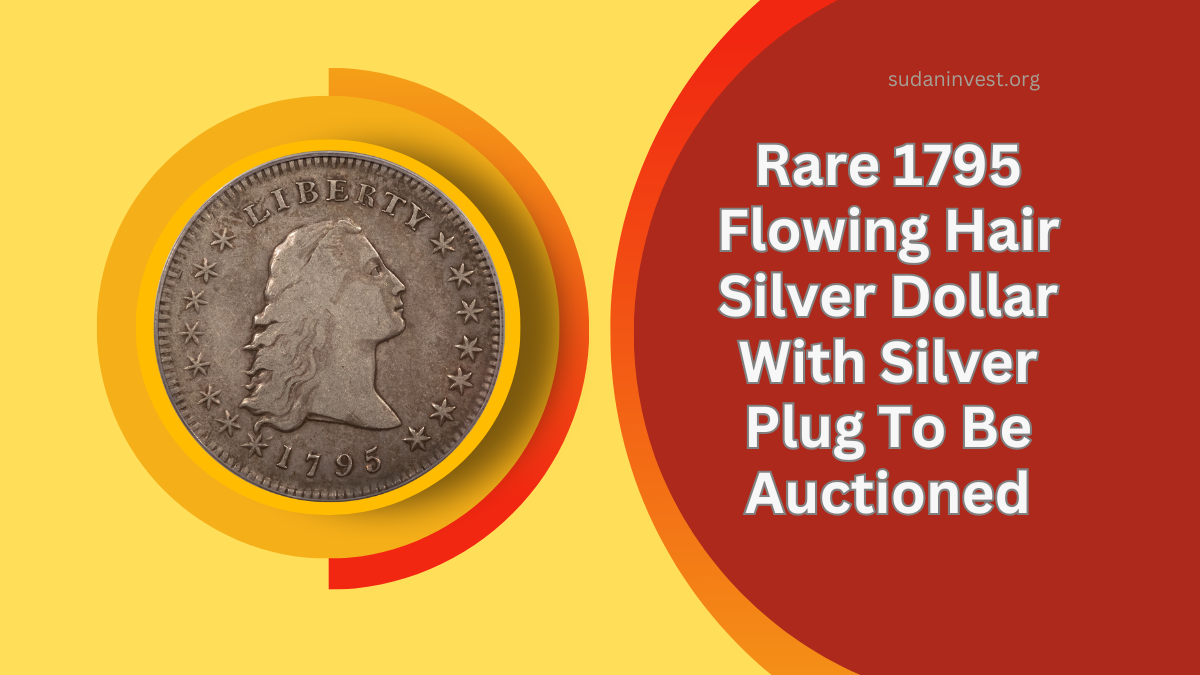 Rare 1795 Flowing Hair Silver Dollar With Silver Plug To Be Auctioned