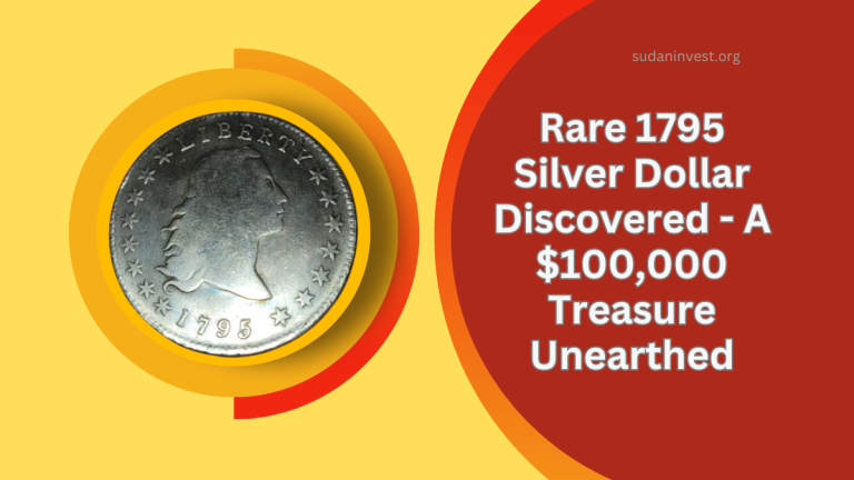 Rare 1795 Silver Dollar Discovered - A $100,000 Treasure Unearthed